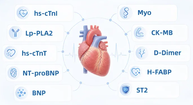 Bảng dấu ấn sinh học tim mạch trên hệ thống miễn dịch hóa phát quang Getein gồm hs-cTnI, hs-cTnT, BNP, NT-proBNP, ST2